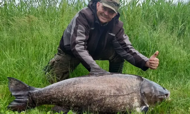 Szczęśliwy wędkarz z tołpygą rekord. Ogromna ryba leży na trawie, a mężczyzna pokazuje kciuk w górę.