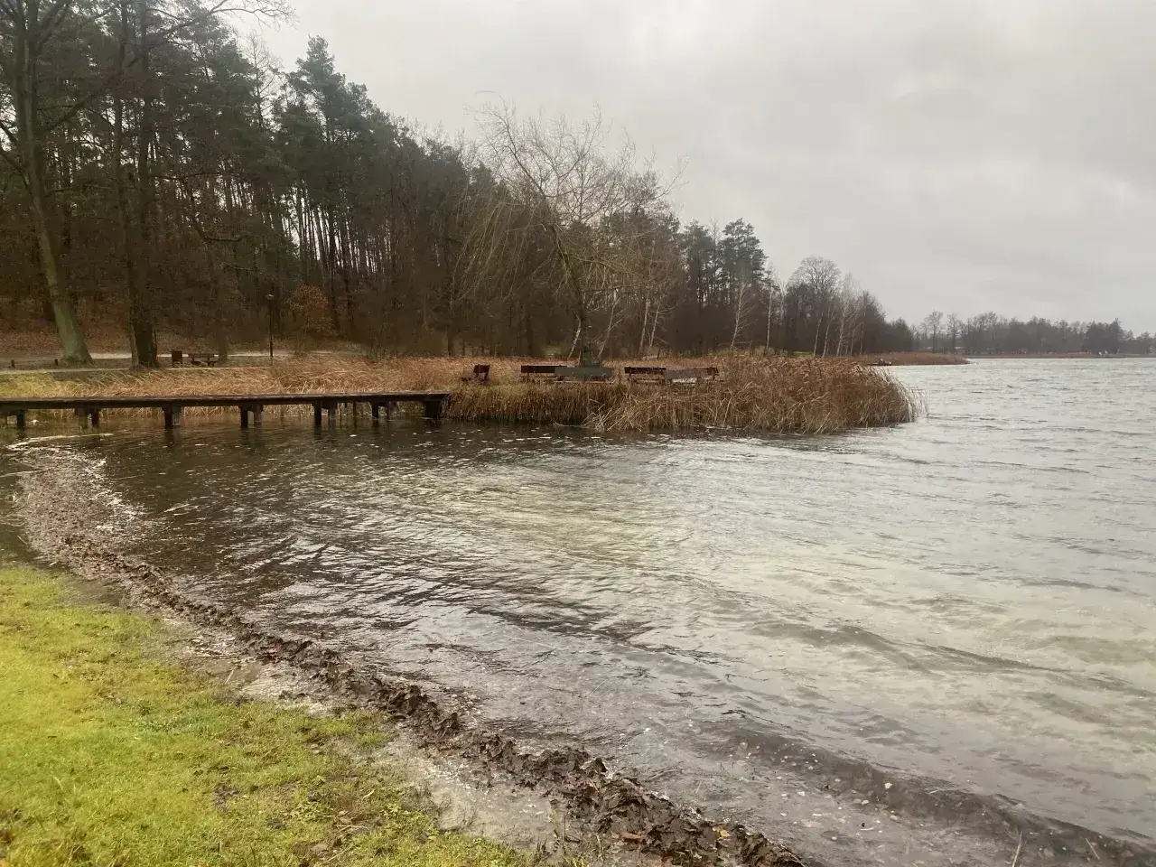 Spokojne jezioro w lubuskim, z drewnianym pomostem i ławkami wśród trzcin. W tle las.