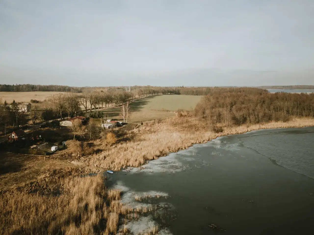 Zimowy krajobraz nad pniewy jezioro. Lodowa tafla częściowo pokrywa wodę, a trzciny szumią na brzegu. W oddali widać las i pola.