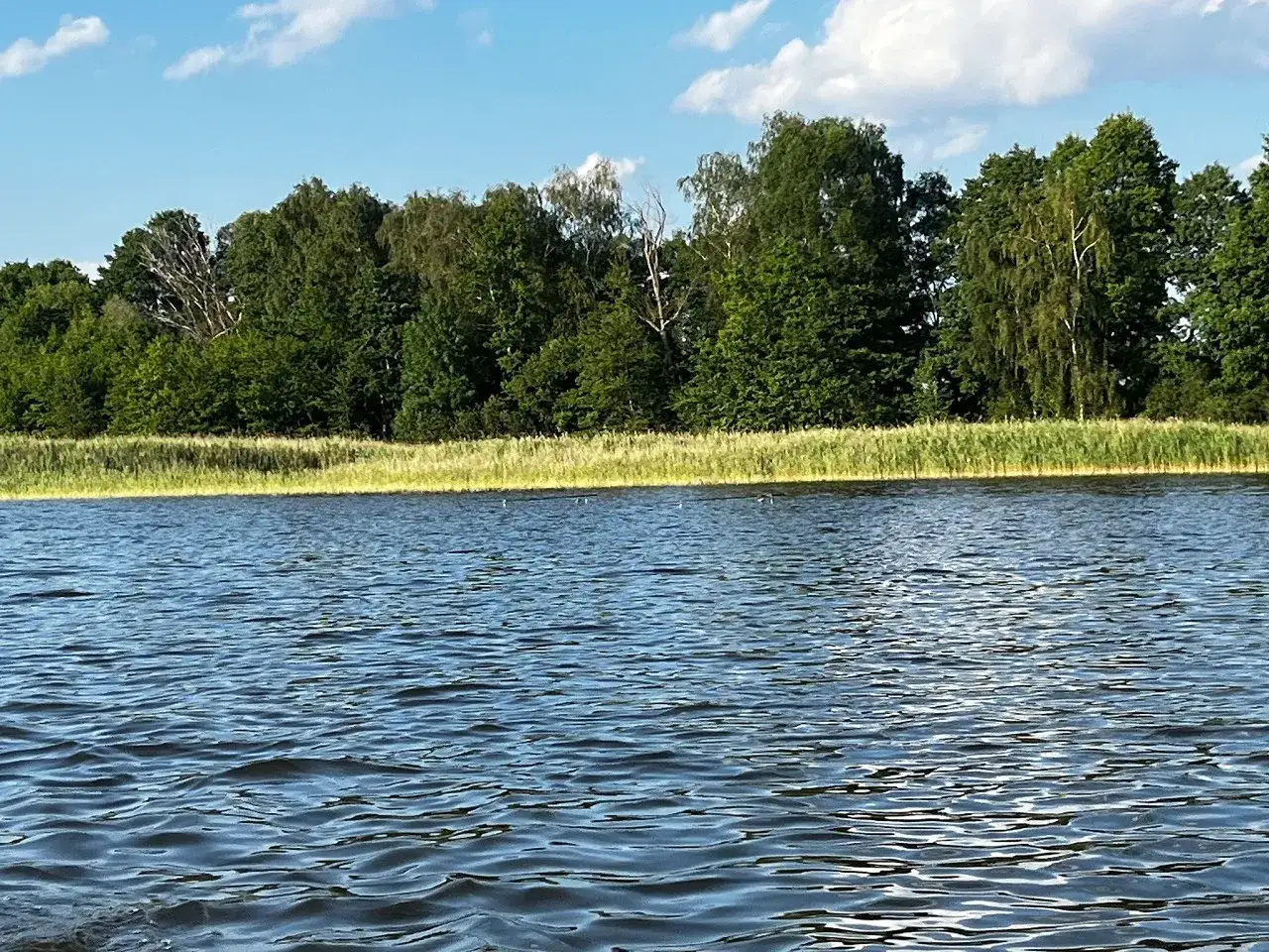 Spokojne jezioro wieleńskie z zielonym lasem w tle i błękitnym niebem z chmurami.