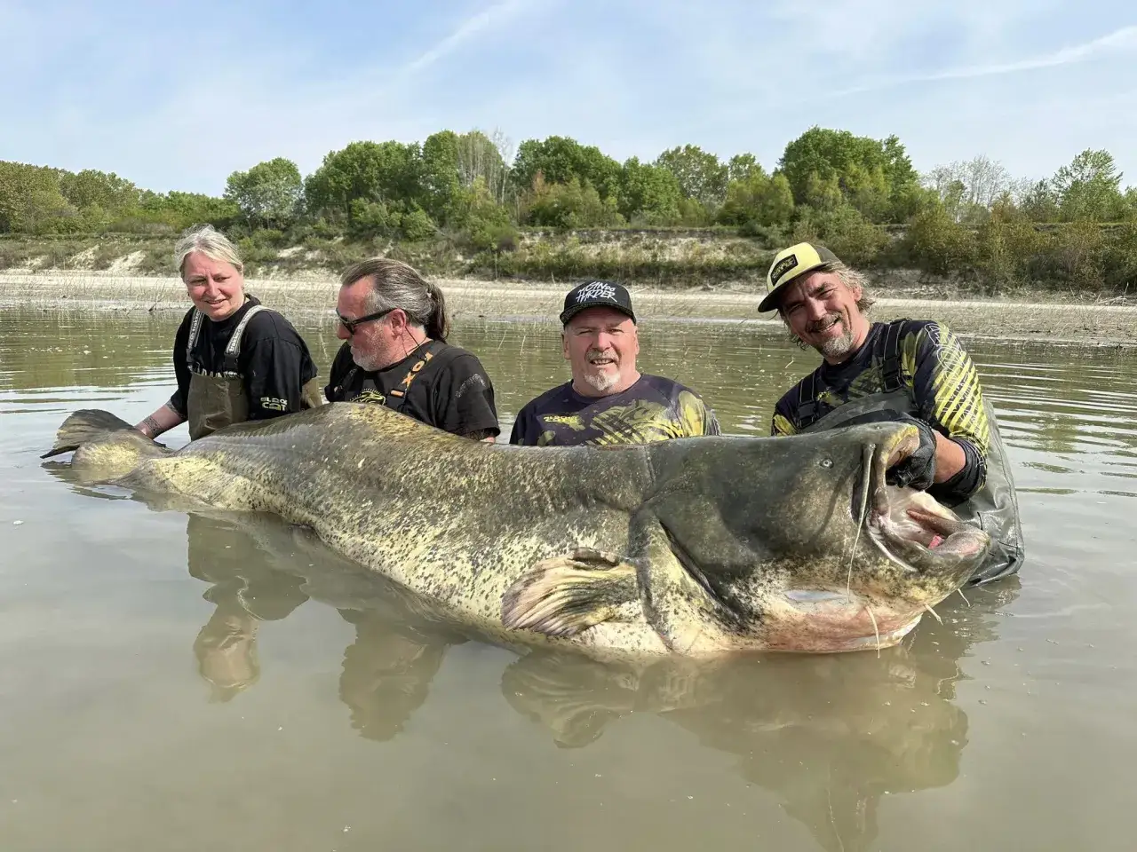 Czterech wędkarzy z dumą prezentuje gigantycznego suma, kt&oacute;rego złowienie to prawdziwy przysmak każdego wędkarza.
