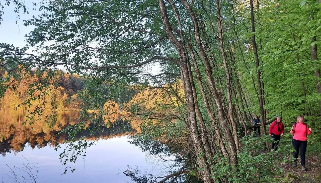 Spacer po lesie nad jeziorem Zawiad. Trzy kobiety wędrują ścieżką wśród drzew.