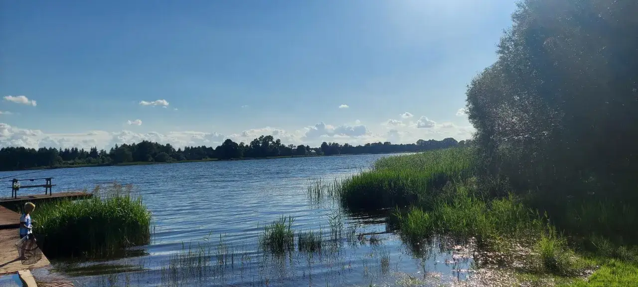 Chłopiec łowi ryby na pomoście nad spokojnym jeziorem Marianowo. W tle las i błękitne niebo.